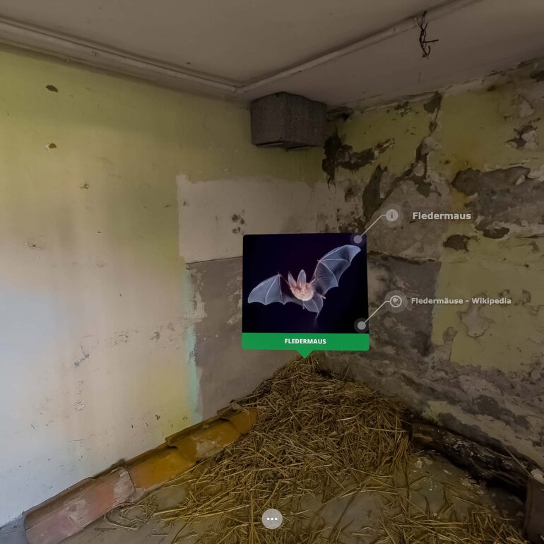 Die Fledermaus im Artenschutzhaus Stemmen