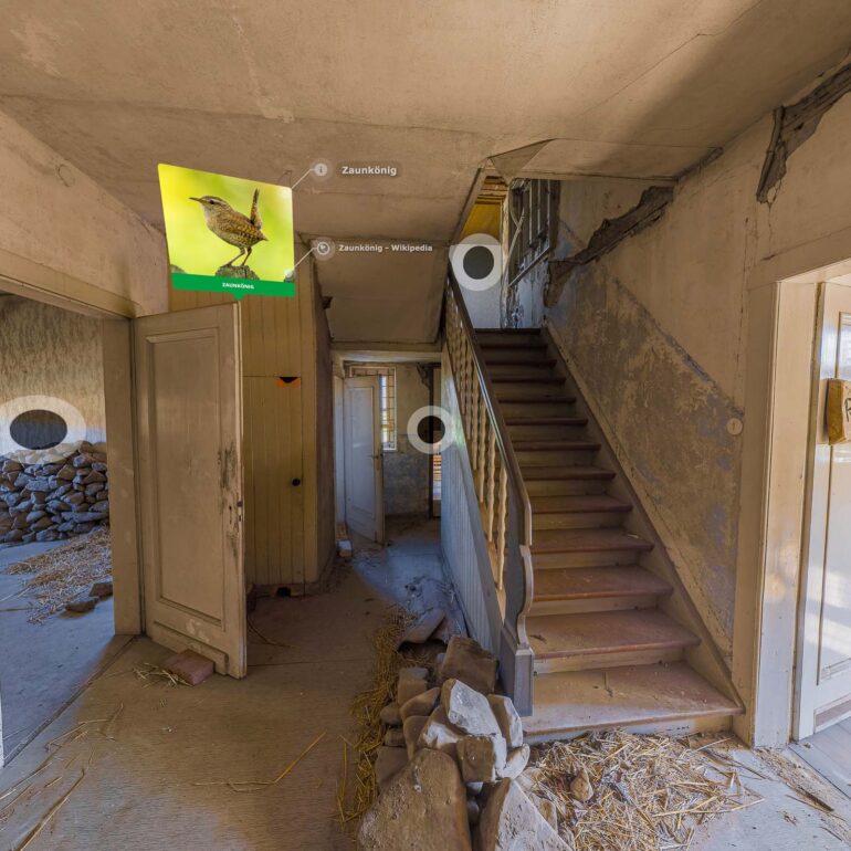 Der Zaunkönig im Artenschutzhaus Stemmen