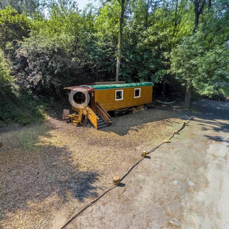 Waldkindergarten "Hattendorfer Hasenbande"