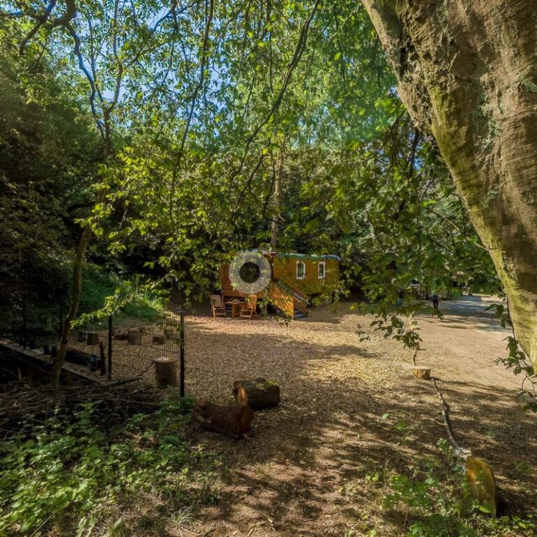 Waldkindergarten "Hattendorfer Hasenbande"