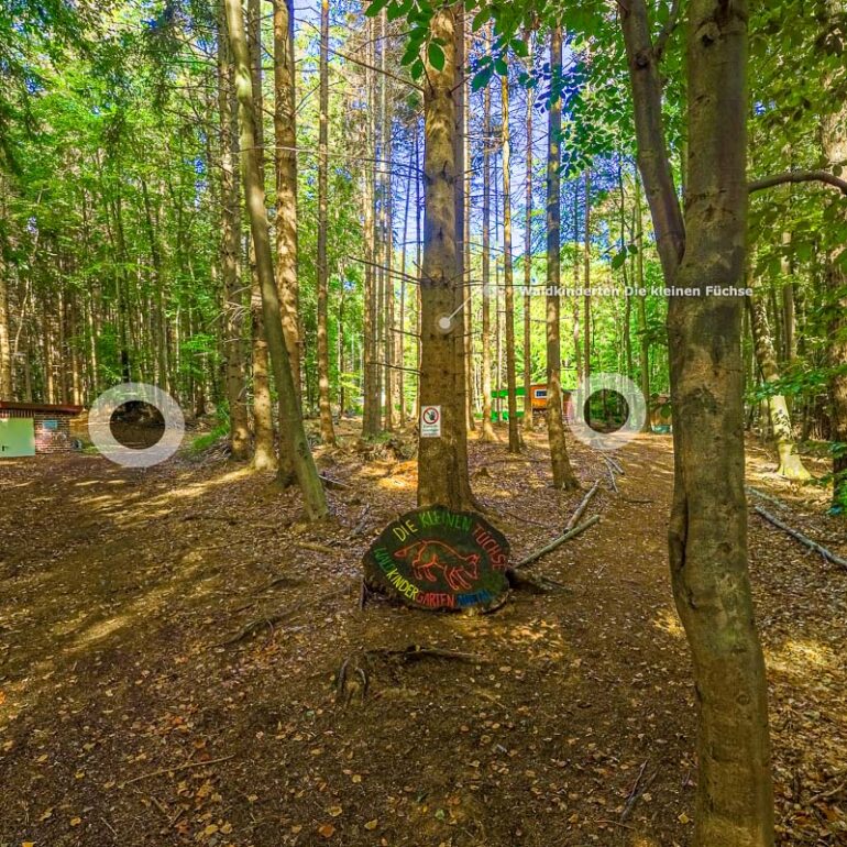 Waldkindergarten Kathrinhagen Auetal
