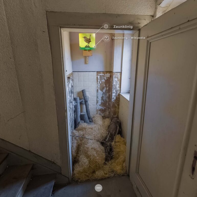 Der Zaunkönig im Artenschutzhaus Stemmen