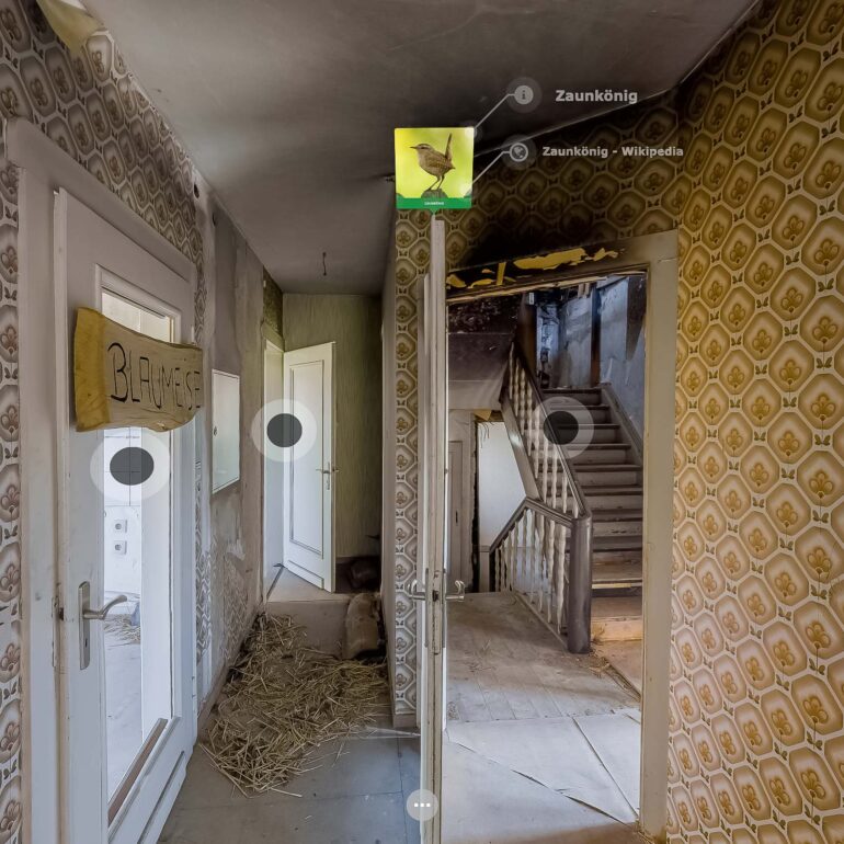 Der Zaunkönig im Artenschutzhaus Stemmen
